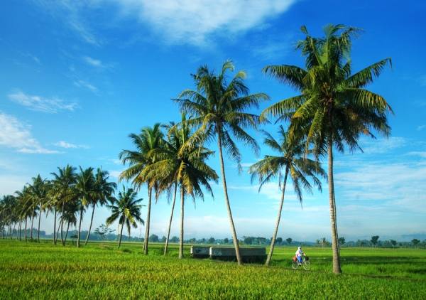 Photograph Edi Wibowo  Morning Journey on One Eyeland